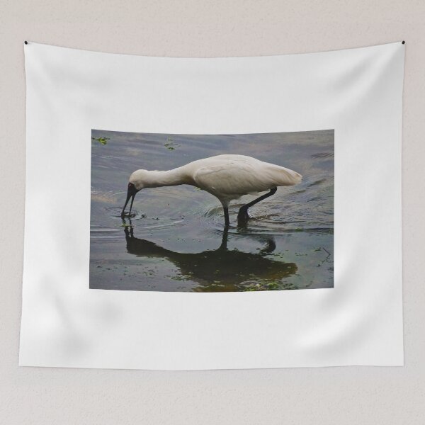 Item preview, Spoonbill Feeding designed and sold by D-GaP.