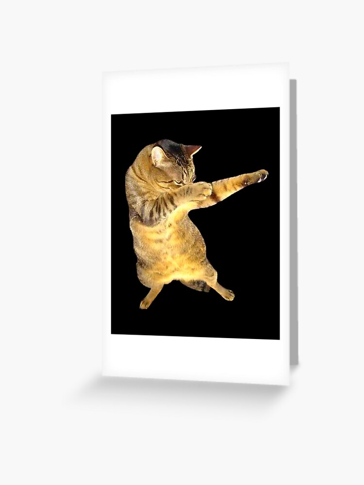 Dabbing Cat Kitten Funny Dab Tee Cool Dance Kitty Vinyl Waterproof Sticker  Decal Car Laptop Wall Window Bumper Sticker 5