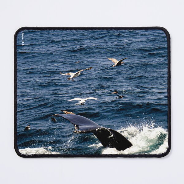 Item preview, whale tail designed and sold by KoyaHL.