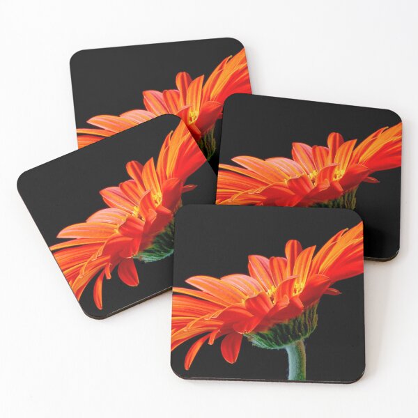 Item preview, Orange Gerbera Daisy designed and sold by Photo Art By Anita.