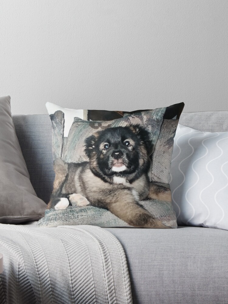 Thumbnail 1 of 4, Pillow, Caucsian Ovrcharka Puppy designed and sold by rmcdi.