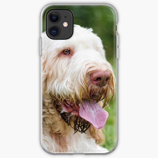 Relax and take it easy Spinone iPhone Soft Case