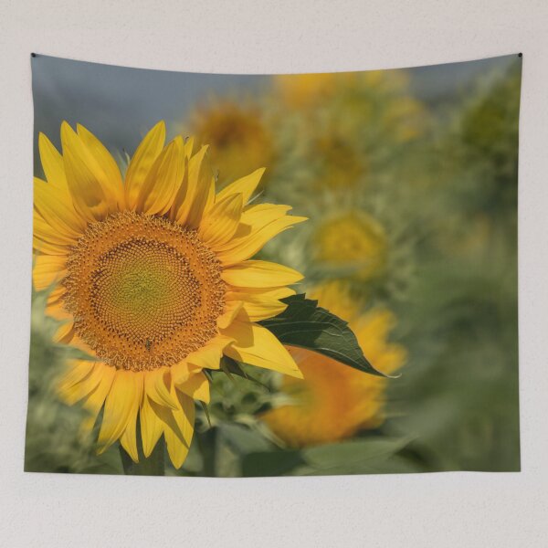 Item preview, Sunflowers X designed and sold by HiddenRockRanch.