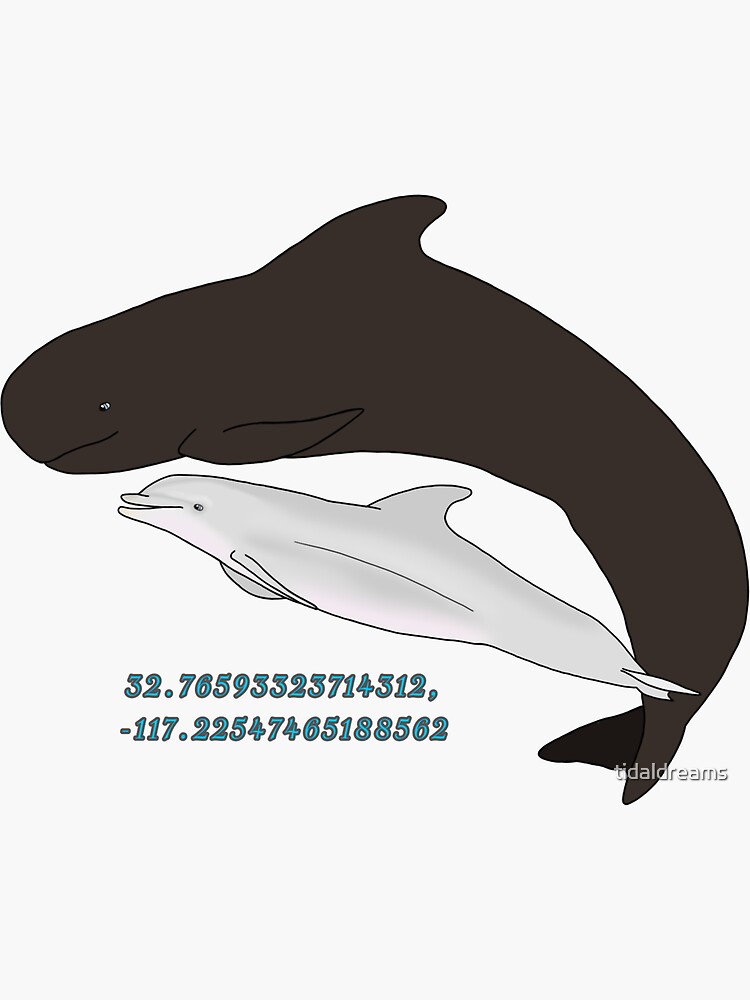 "SeaWorld San Diego Dolphin Stadium Coordinates " Sticker for Sale by