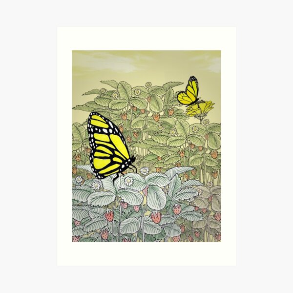 Butterflies Art Print