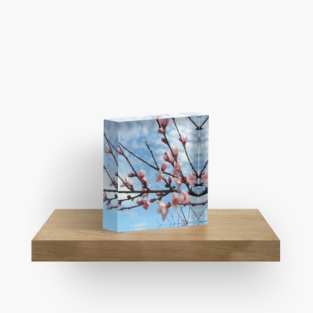 Pfirsich-Blüte Acrylblock
