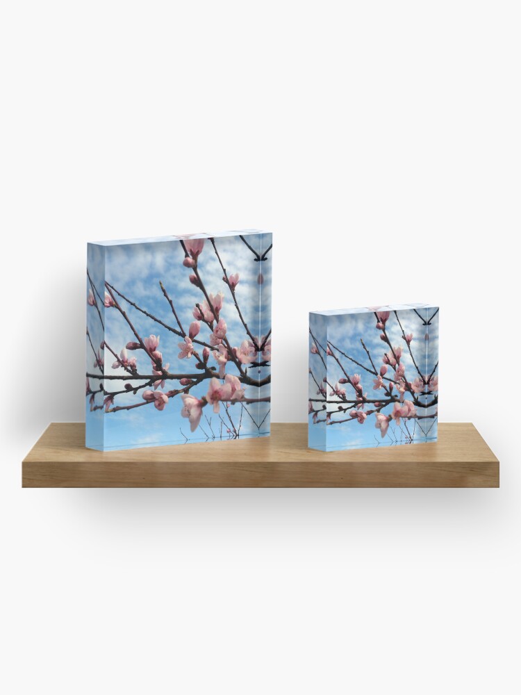 Alternative Ansicht von Pfirsich-Blüte Acrylblock