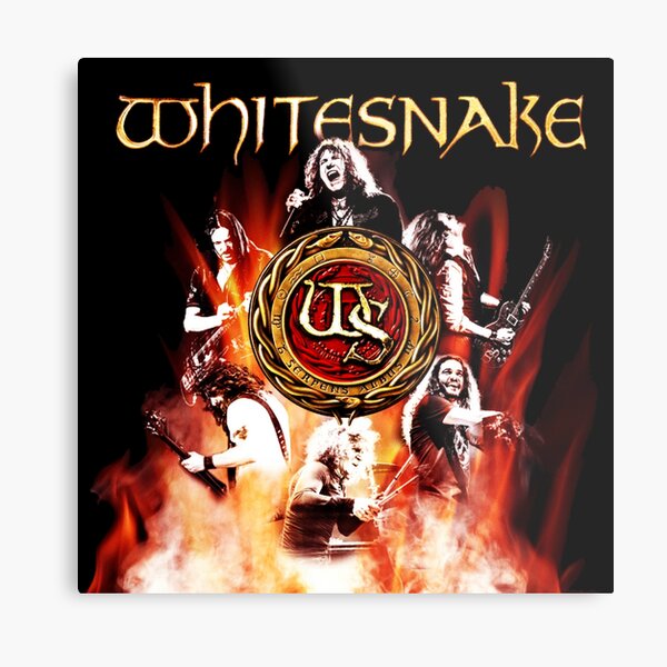Láminas metálicas: Fondos De Pantalla Whitesnake Banda 90art | Redbubble Láminas metálicas: Fondos De Pantalla Whitesnake Banda 90art | Redbubble