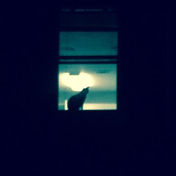 Artwork thumbnail, Creepy Cat in the Window by Noah Waters