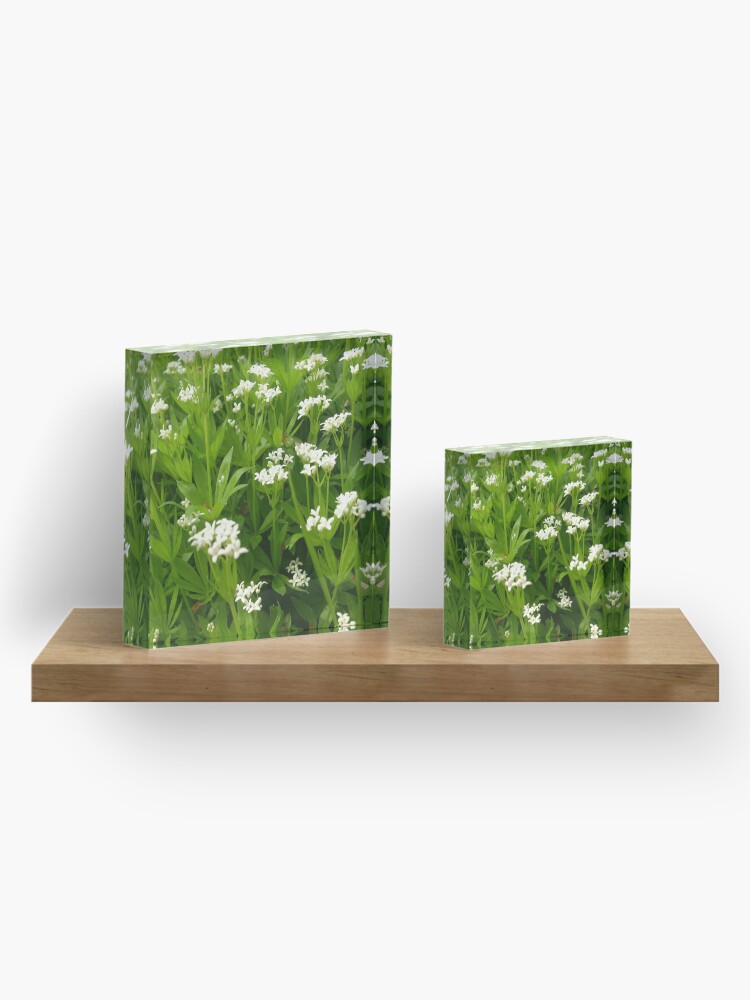 Alternative Ansicht von Unser Waldmeister Acrylblock