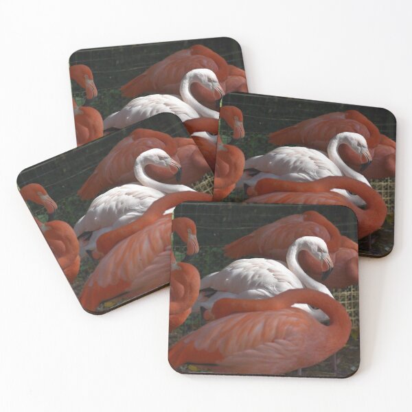 Item preview, Caribbean Flamingo  designed and sold by Sharon the Zoo Lady Photography .