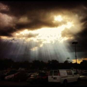 Artwork thumbnail, Sunny Florida by Noah Waters