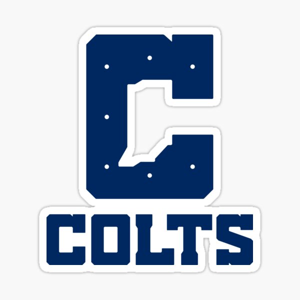 Indianapolis Colts NFL Wordmark Chill Water Bottle