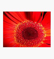 Red Raw Photographic Print