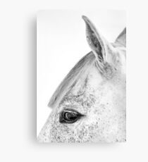 Diego Metal Print