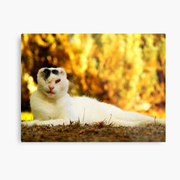 Pride Metal Print