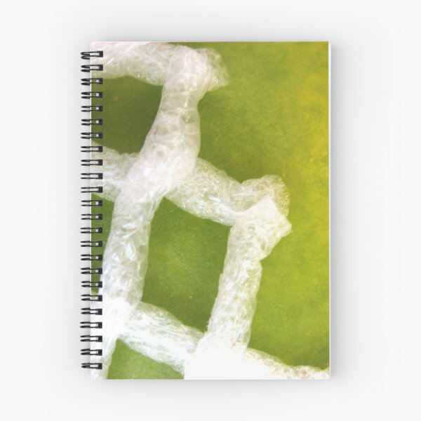 Item preview, Papaya Abstract designed and sold by Orla Cahill Photography.