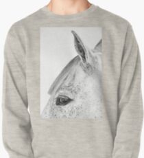 Diego Pullover
