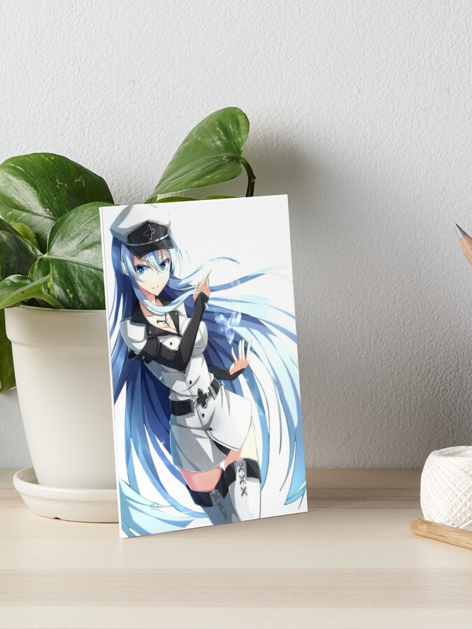 Esdeath Akame Ga Kill Anime Girl Gift | Art Board Print
