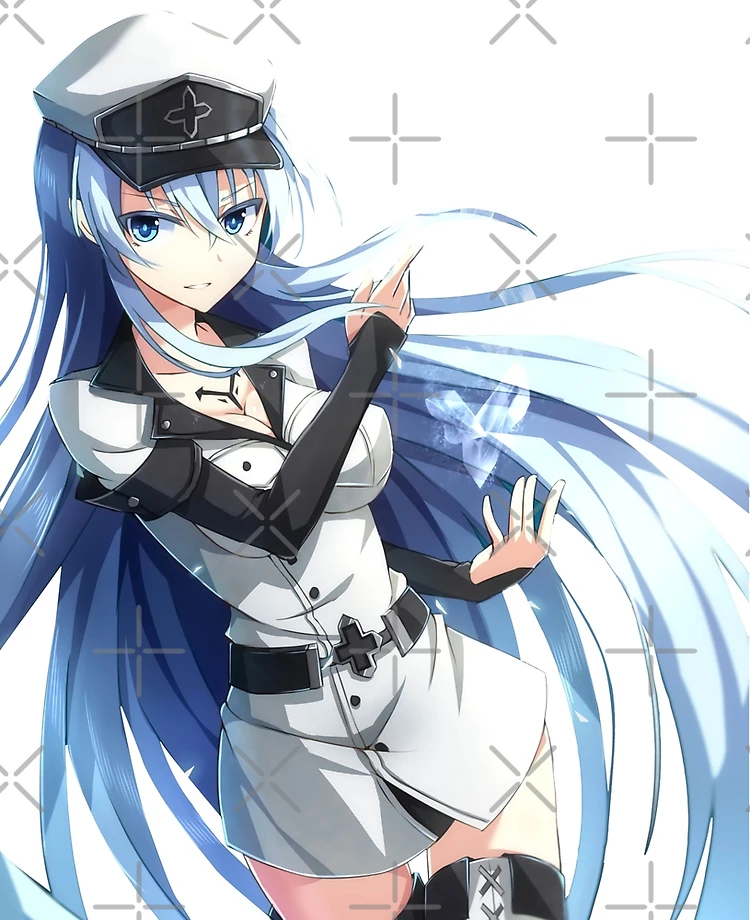 Wallpaper girl, ice, anime, art, esdeath, akame ga kill for mobile