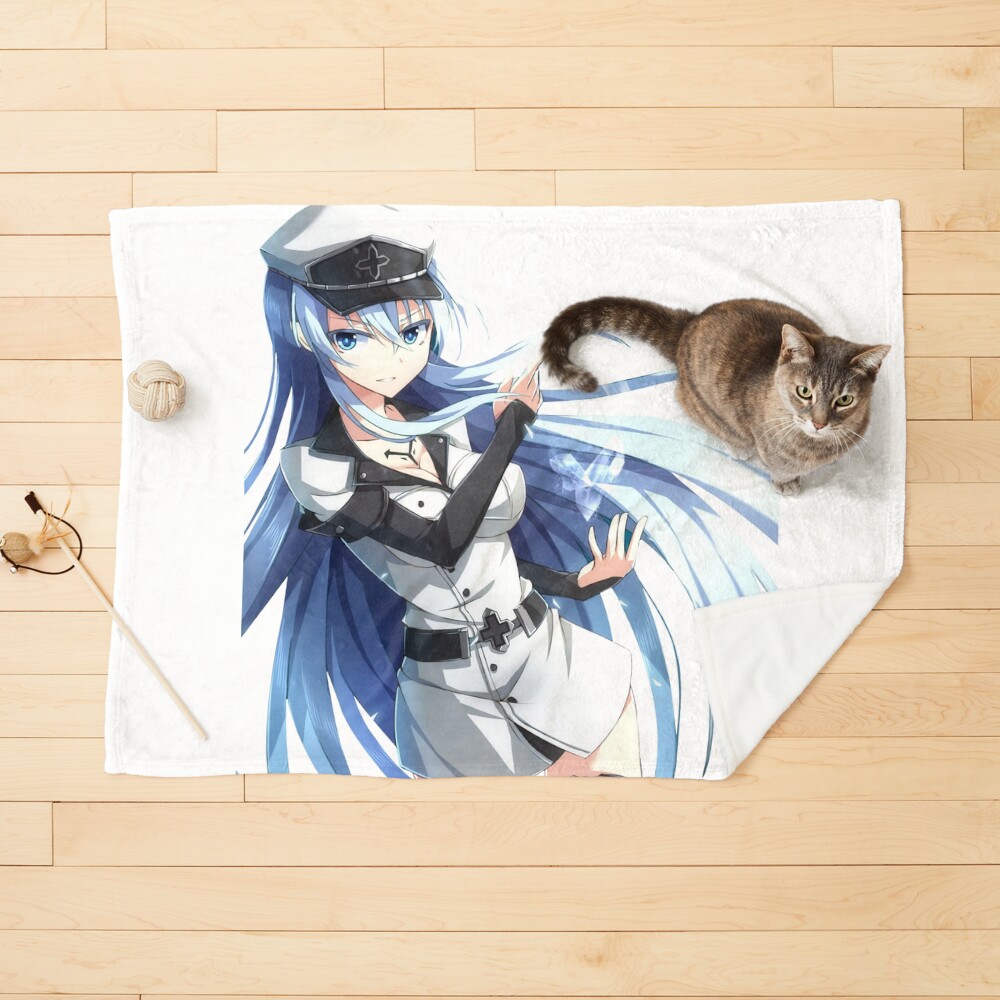 Akame ga kill online blanket