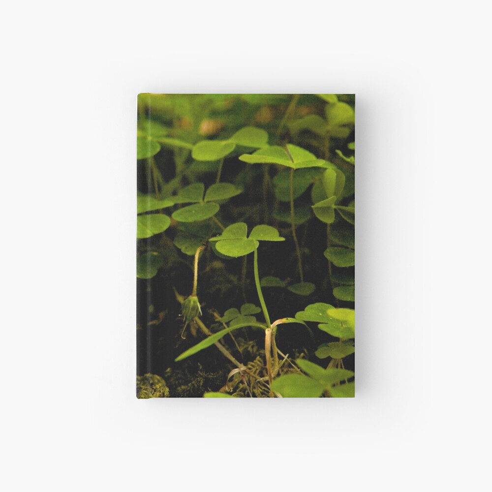 Wood Sorrel, Ness Woods, County Derry Hardcover Journal