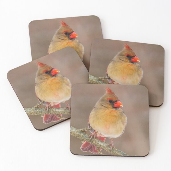 Item preview, Female cardinal designed and sold by FlyingLilly.