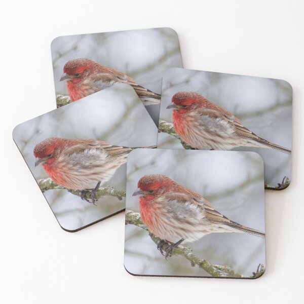 Item preview, House finch  designed and sold by FlyingLilly.