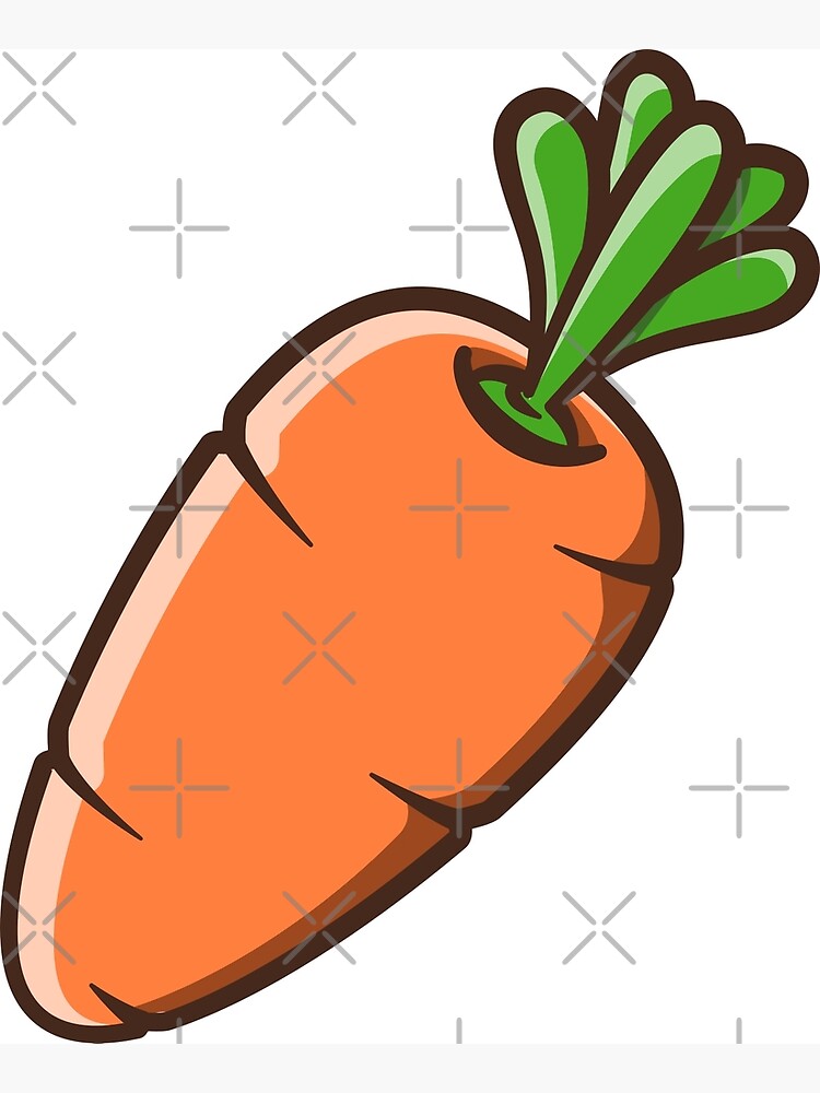 Flower Drawing png download - 900*900 - Free Transparent Carrot png  Download. - CleanPNG / KissPNG