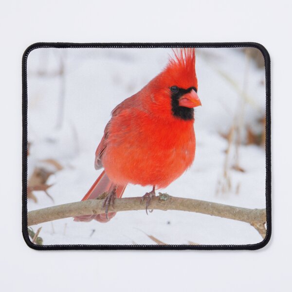 Item preview, Northern cardinal designed and sold by FlyingLilly.