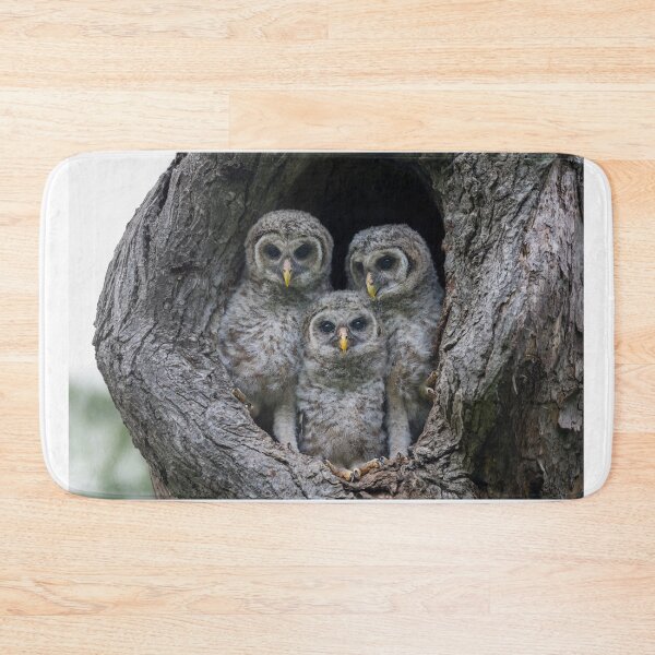 Item preview, Adorable Siblings designed and sold by Puttaswamy Ravishankar.