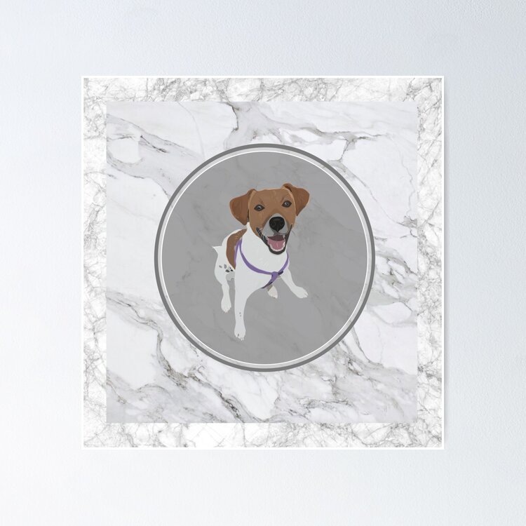 Jack Russell on marble Sticker