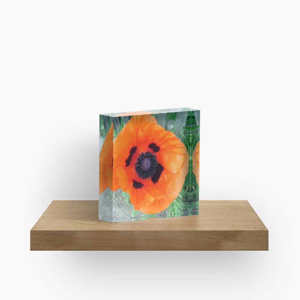 Große Mohn-Blüte Acrylblock