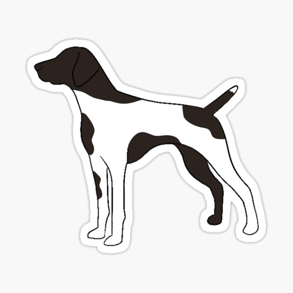 “Liver and White Patched German Shorthaired Pointer” Sticker for Sale