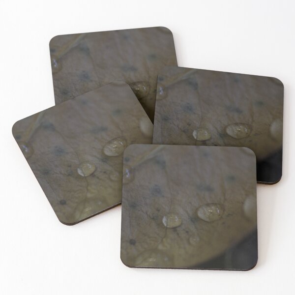 Item preview, water leaf designed and sold by Robert Engels.