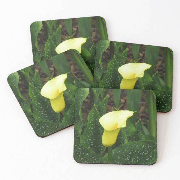 Item preview, Golden calla lily designed and sold by greentiger1.