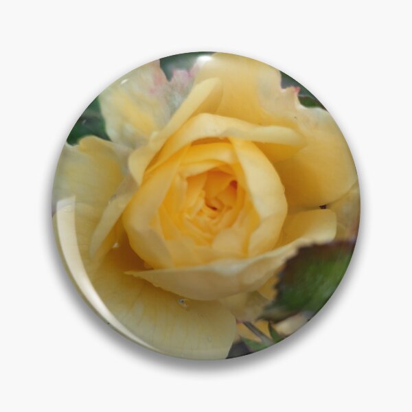Item preview, autumn rose designed and sold by barbich.