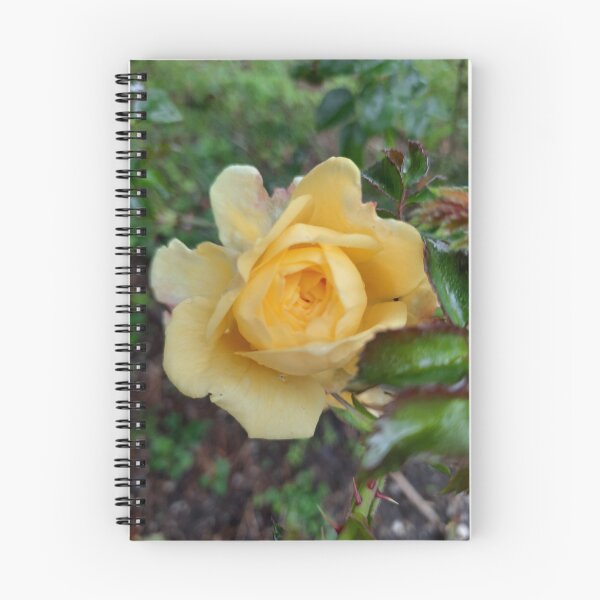 Item preview, autumn rose designed and sold by barbich.