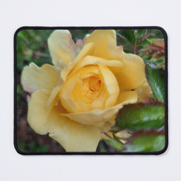 Item preview, autumn rose designed and sold by barbich.