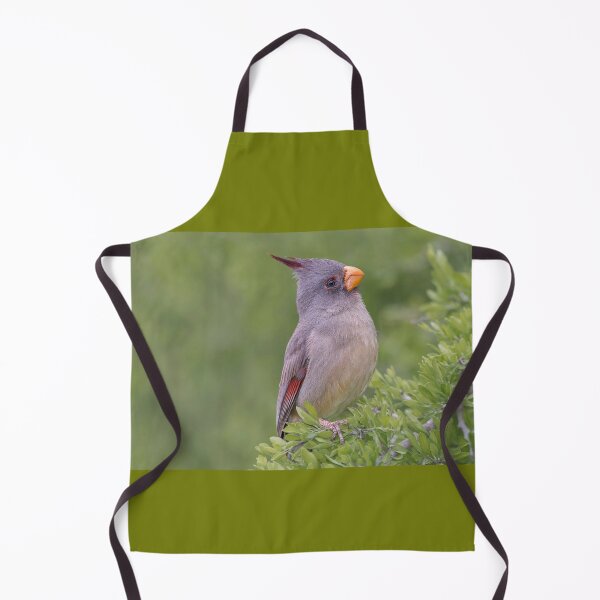 Item preview, Pyrrhuloxia designed and sold by Puttaswamy Ravishankar.