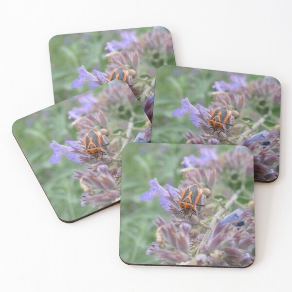 Item preview, Horehound bug designed and sold by greentiger1.