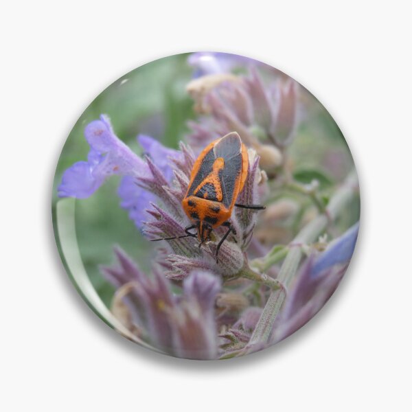 Item preview, Horehound bug designed and sold by greentiger1.