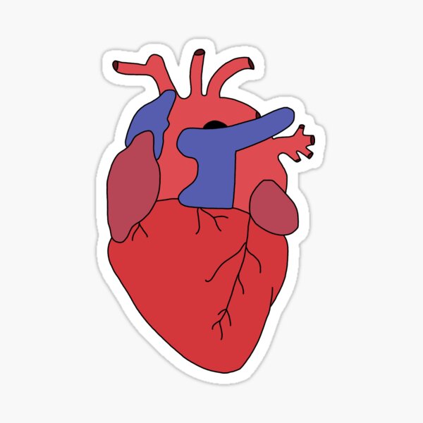 Anatomical Heart Sticker For Sale By Justcallmeang Redbubble 6784