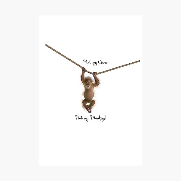 Item preview, Not My Monkey Not My Circus designed and sold by Cbakke.