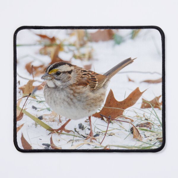 Item preview, White throated sparrow designed and sold by FlyingLilly.