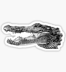 Alligator Sticker