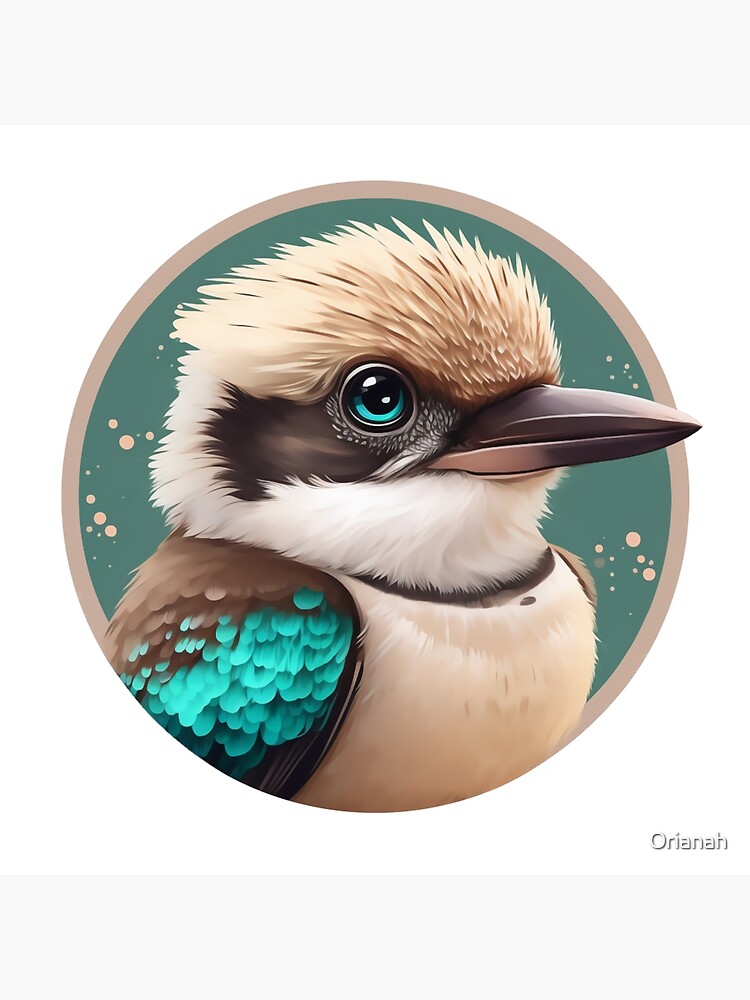 "Beautiful Kookaburra. One of the most amazing birds in the world, the