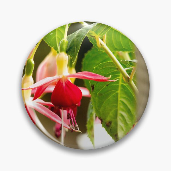 Item preview, Fuchsias designed and sold by Leonie Morris.