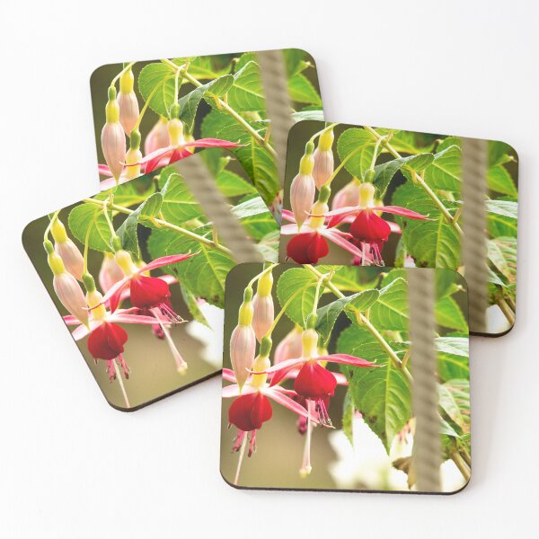 Item preview, Fuchsias designed and sold by Leonie Morris.
