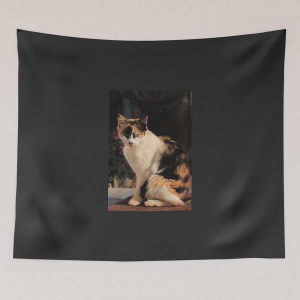 Item preview, Pies de Gato (no words)  designed and sold by Munnapd.